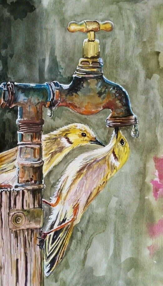 Thirst of Life – Birds by the Tap