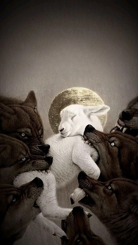 The Gentle Beast – One Wolf Against the Pack